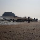 행복다방 티스토리