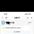 파리바게트 블루베리 쉬폰 케이크 (배달가능) 이미지
