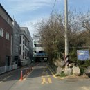 한국전력공사 부천지사 | 부천 도당산 4월 첫째주 🌸벚꽃이 완전 만발~🌸