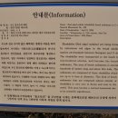 제주 우도 홍조단괴 해빈 이미지