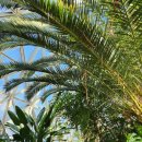 곤충생태관_4 | 울산대공원 남문 생태여행관 곤충생태관 후기 아기랑 실내 가볼만한곳 추천