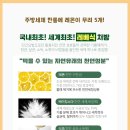 공지로 4L 이미지