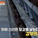 한솔유통 이미지