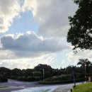 (주)알메디카 이미지