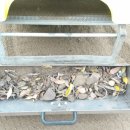 서울명덕초등학교 이미지