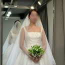 예쁘개해줄개 | 황정아웨딩 본식드레스 가봉 후기(2부 드레스+ 꿀팁+ 본식 사진)