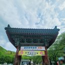 과학남로 | 가족여행, 하루에 다녀올 수 있는 진안 마이산의 감동