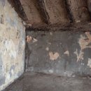 별똥별 채집소 이미지