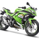 라임모터스 | 입문부터 주말 라이딩까지 책임지는 실속형 스포츠바이크, 카와사키 닌자300의 매력 총정리