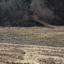 지선태양광발전소 이미지