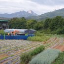 도봉면허시험장 이미지