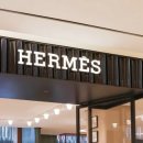 에르메스 이미지