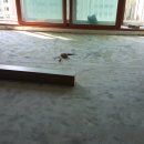 리치라움 이미지