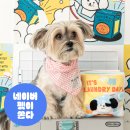 (주)노즈워크99 | 반려견 스트레스 해소를 고민하는 견주를 위한 1+1 강아지 노즈워크