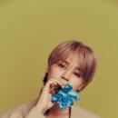 하이어(Hyer) 이미지