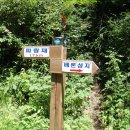 배론의아침 이미지