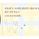 827디자인