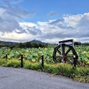 두식농원 이미지