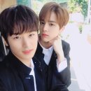 (주)영훈 Daum카페