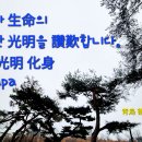 선학산 체육장 2(람덕정) | 선학산 photo
