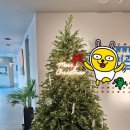 크리스마스 이미지