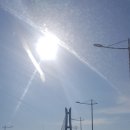 궁농오토캠핑장 이미지