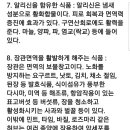 면역력을 높이는 음식 정리 이미지