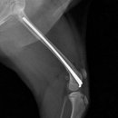 통일동물병원 이미지