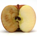 인춘빌딩 이미지