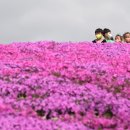 남상면-35 이미지