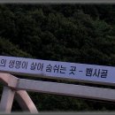 지리산 노고단 산행 ------1탄 -----일몰에 황금알을 보앗다.....| 이미지