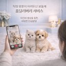 영덕사랑동물병원 | 영덕말티푸분양 고민 중이라면 꼭 읽어보세요｜처음 키우는 보호자를 위한 현실 가이드