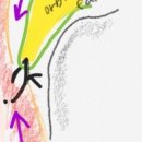 청담청초성형외과의원 이미지