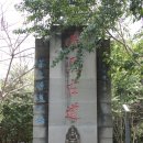 운남보이차