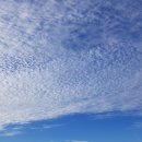 상군농장 이미지