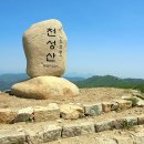 홍룡사약국 Daum카페