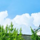 (후기)정영욱작가님 북토크에 다녀왔어요. 북로그컴퍼니