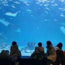 의곡초등학교 이미지