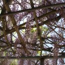 장목초등학교 이미지