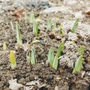 김화자농장 이미지