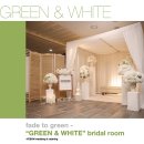 그린앤화이트 이미지