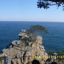 27하조대