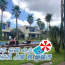 성산읍 고성sk1빌라 옆 | 제주 동쪽숙소, 아르츠스파앤풀빌라 모든것 (+근처 바베큐 구입 마트 )