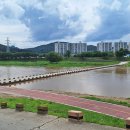 정림세월교 Daum카페