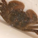 아산시-2009-010 이미지