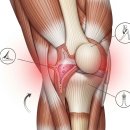 무릎 뒤쪽 통증의 원인, 어떤 질환이 숨겨져 있을까 이미지