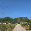 신흥1마을회관 이미지