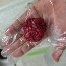 천상길 | [울산 대식식육점] 천상리 고기좋은 정육점 추천, 이유식 우둔살 구매 후기