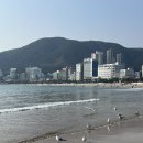 안경매니져화정점 | 2023.01~02 영원한 건 없어도 평생이라는 건 있어