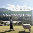 주원농장 | 치앙마이 알파카 카페 Maekee Sheep House｜입장료·체험·메뉴까지 완벽 정리